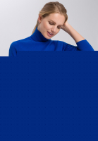 Pullover im Basic-Look mit Rollkragen