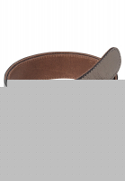 Gürtel in Metallic-Optik