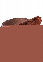 Gürtel in Metallic-Optik